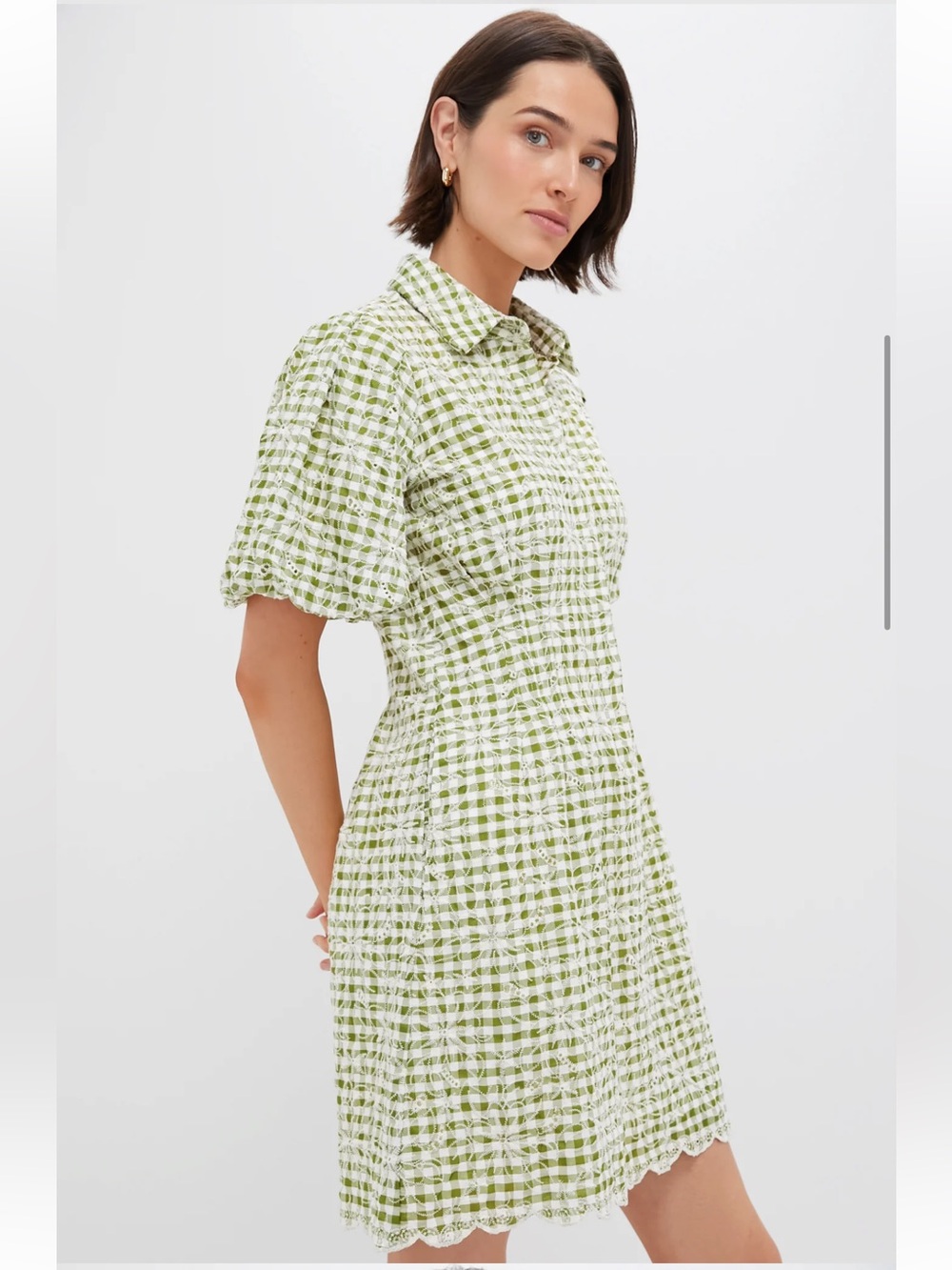 Tuckernuck Embroidered Floral Green Gingham Mini Delaney Dress Size Medium - Picture 4 of 8